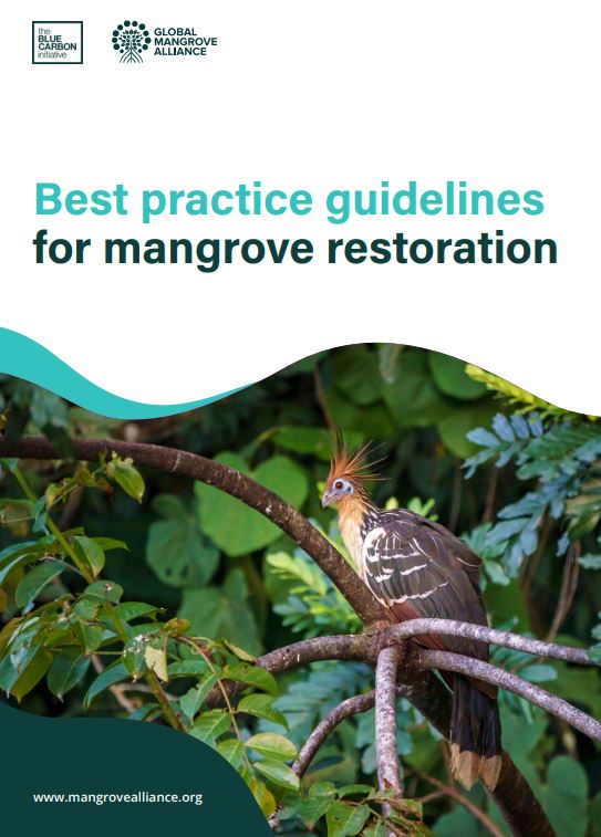 Cover page for the Best Practice Guidelines for Mangrove Restoration - a bird sitting in a mangrove tree